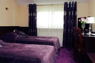 Отель Hotel Alexandra Победзиска Двухместный номер Делюкс с 2 отдельными кроватями-5